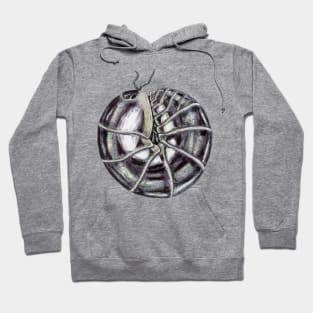 Schizidium oertzeni "chrome" Isopod Hoodie